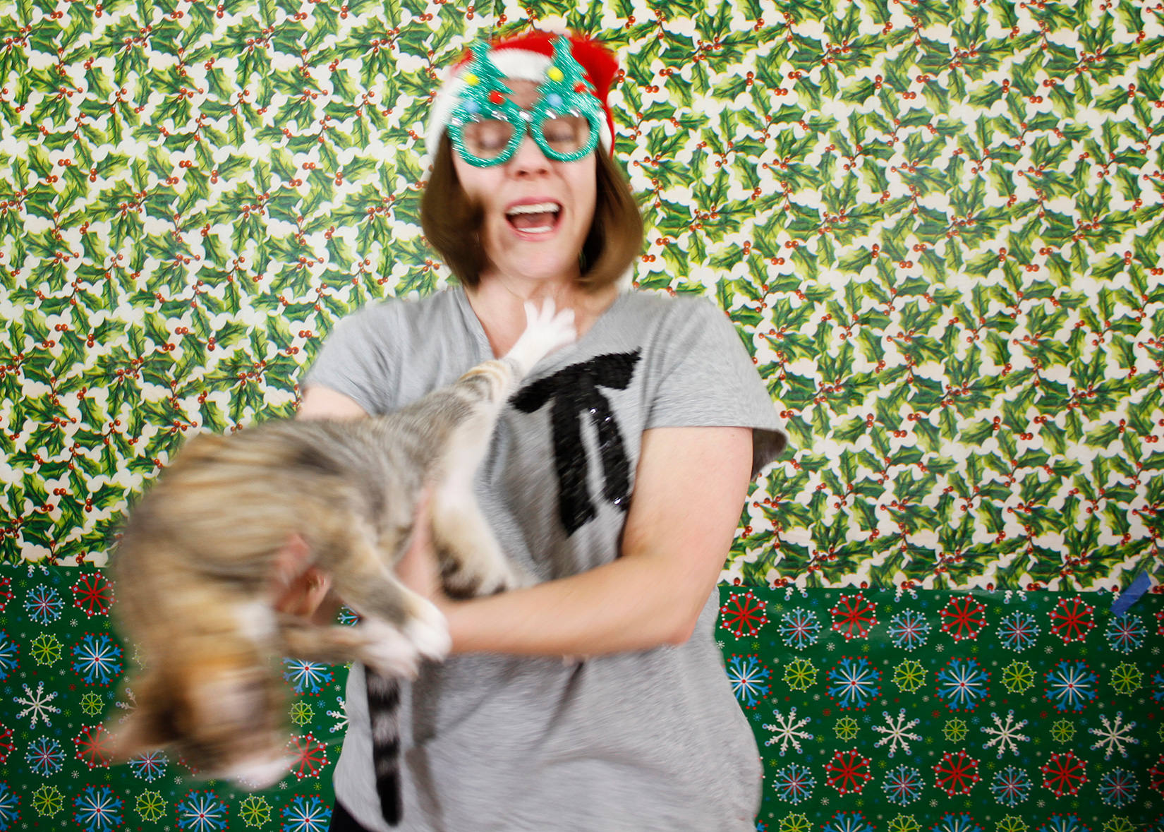 Reject Holiday Card Image.